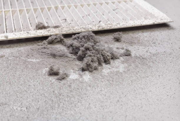 Best Ductwork Cleaning Services  in Cherry Grove, OH